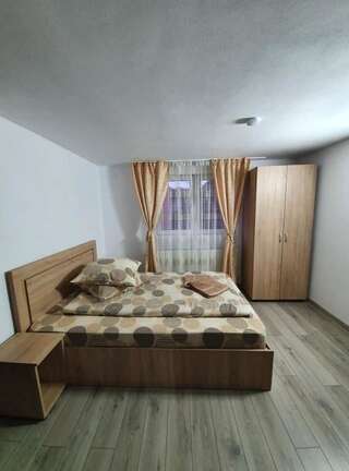 Гостевой дом SergillioHouse Chişcău Двухместный номер с 1 кроватью и собственной ванной комнатой-3